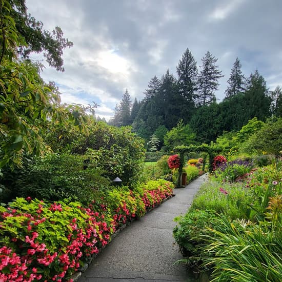 Peaceful garden path representing journey to wellness